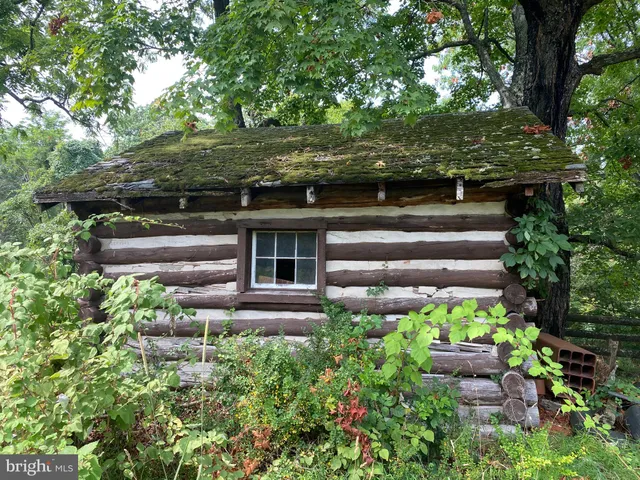 a view of a garden with pathway