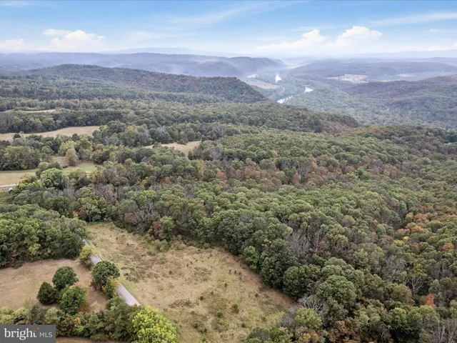 a view of a forest with a forest