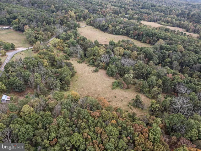 a view of a yard with a pathway