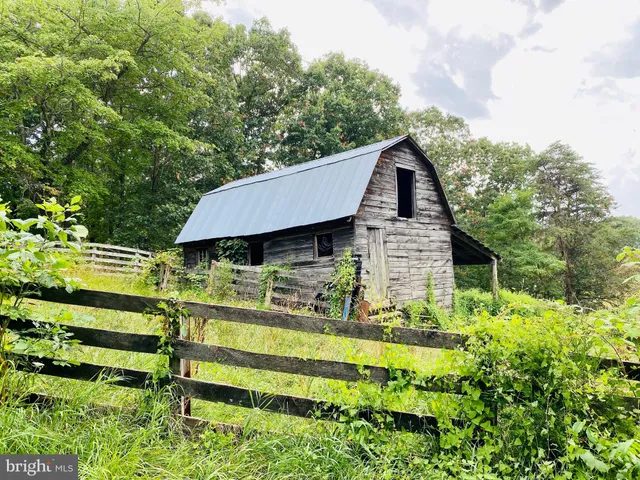a view of backyard with swimming pool and trees