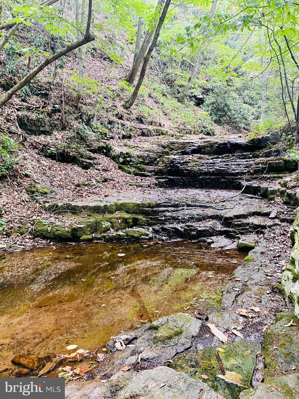 914 Plains Road Paw Paw, WV 25434 - Photo 8 of 33