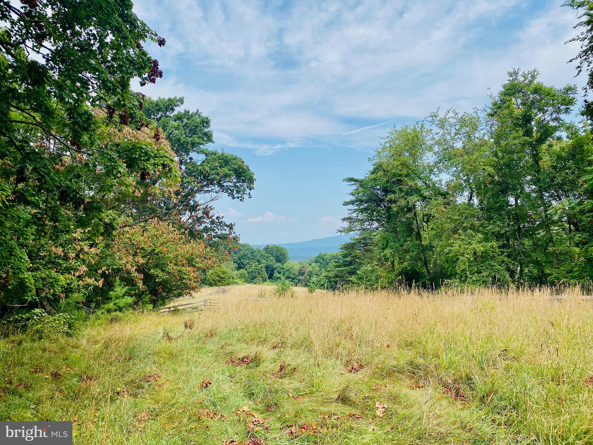 914 Plains Road Paw Paw, WV 25434 - Photo 9 of 33