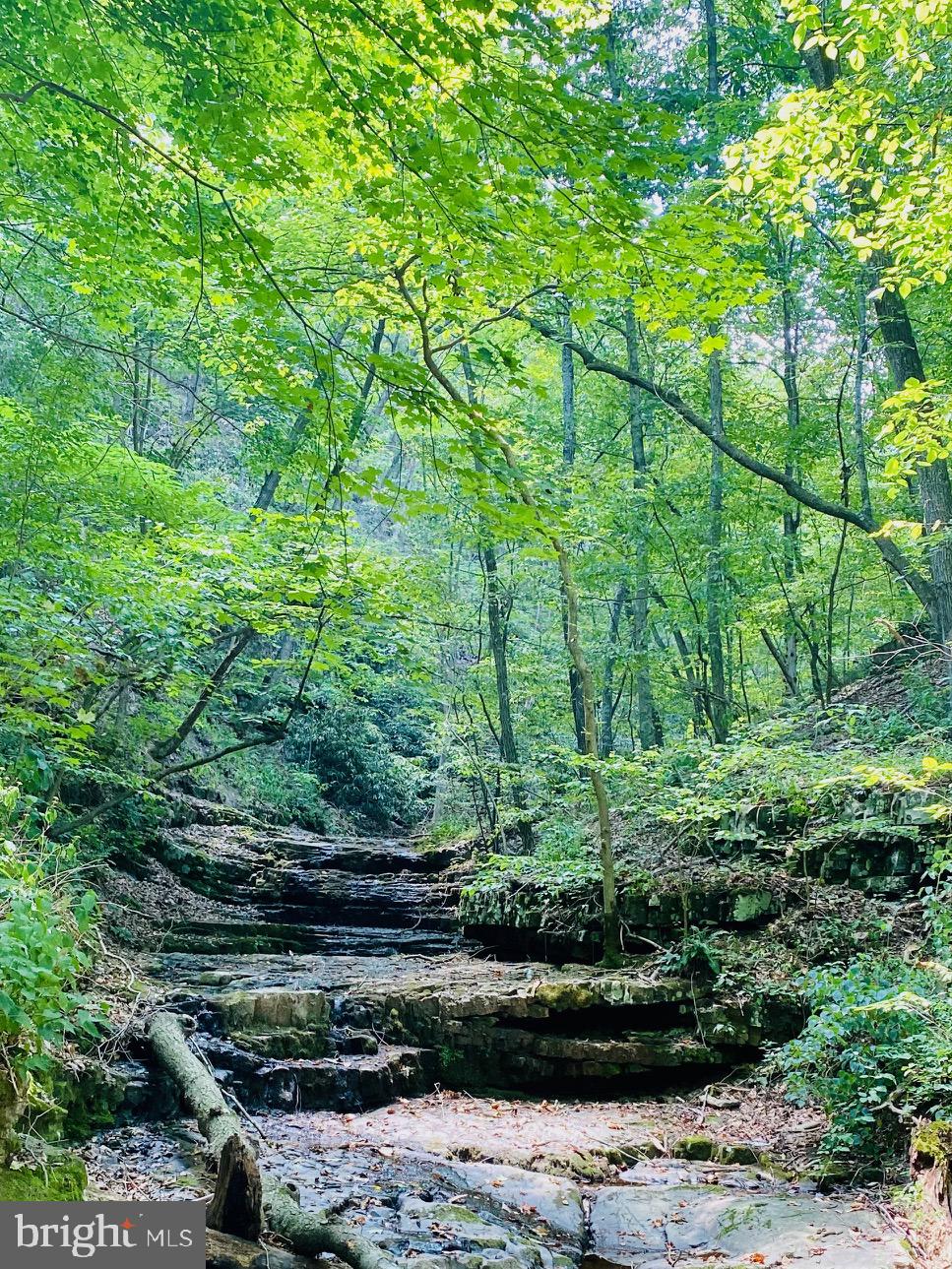 914 Plains Road Paw Paw, WV 25434 - Photo 10 of 33