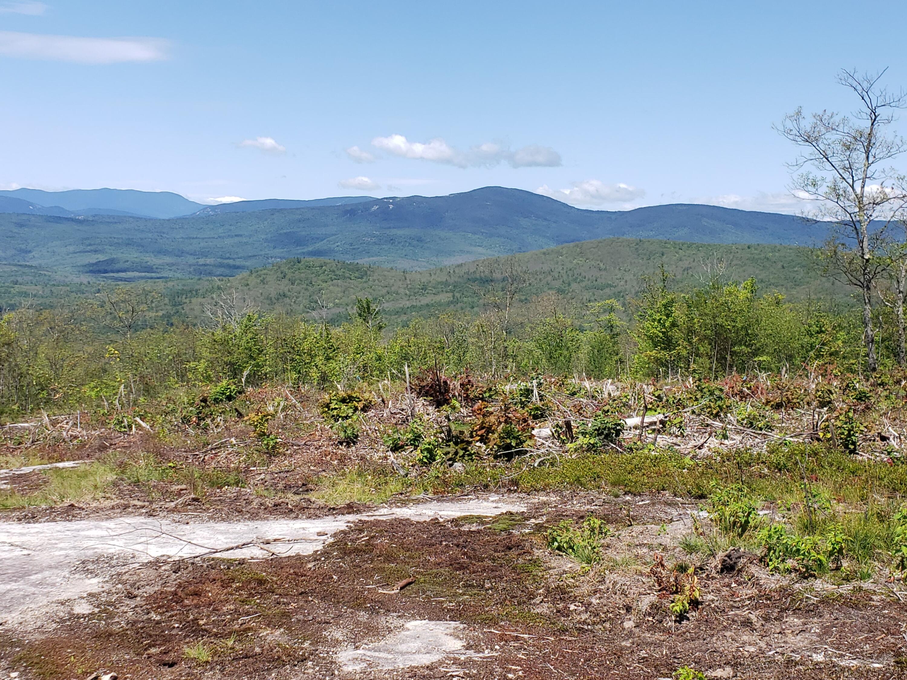 106 Mine Road Bethel, ME 04217 - Photo 10 of 14 Summit view
