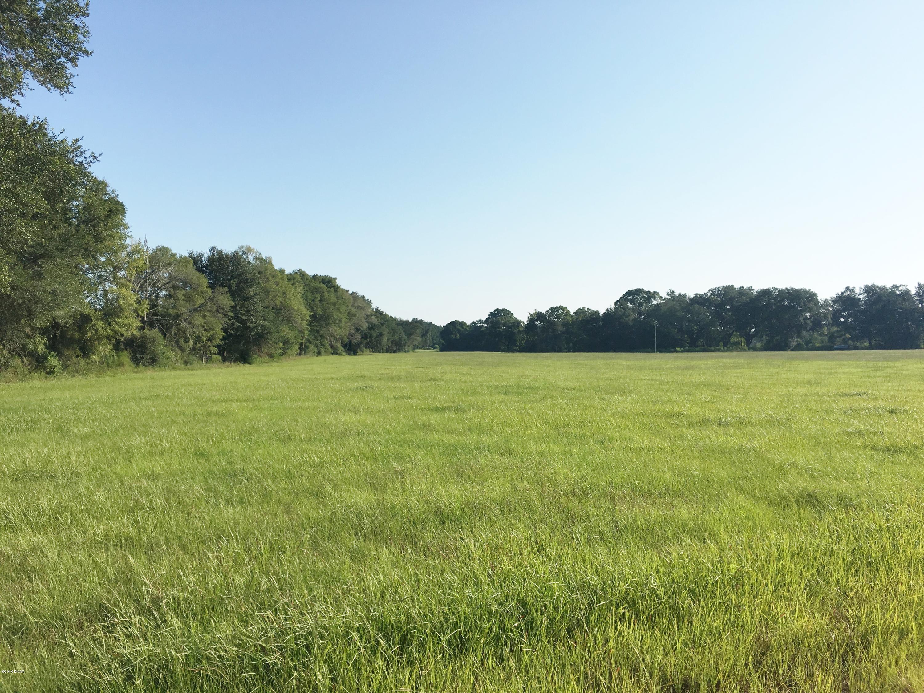 1787 Flowing Well Road Bonifay, FL 32425 - Photo 2 of 31 Gallery Image 2