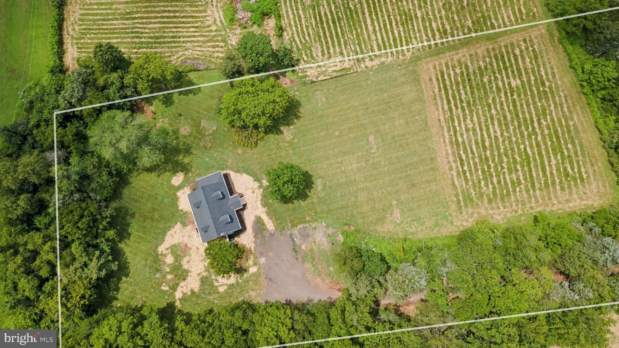 4509 Catlett Road Midland, VA 22728 - Photo 33 of 36 mostly cleared but surrounded by trees
