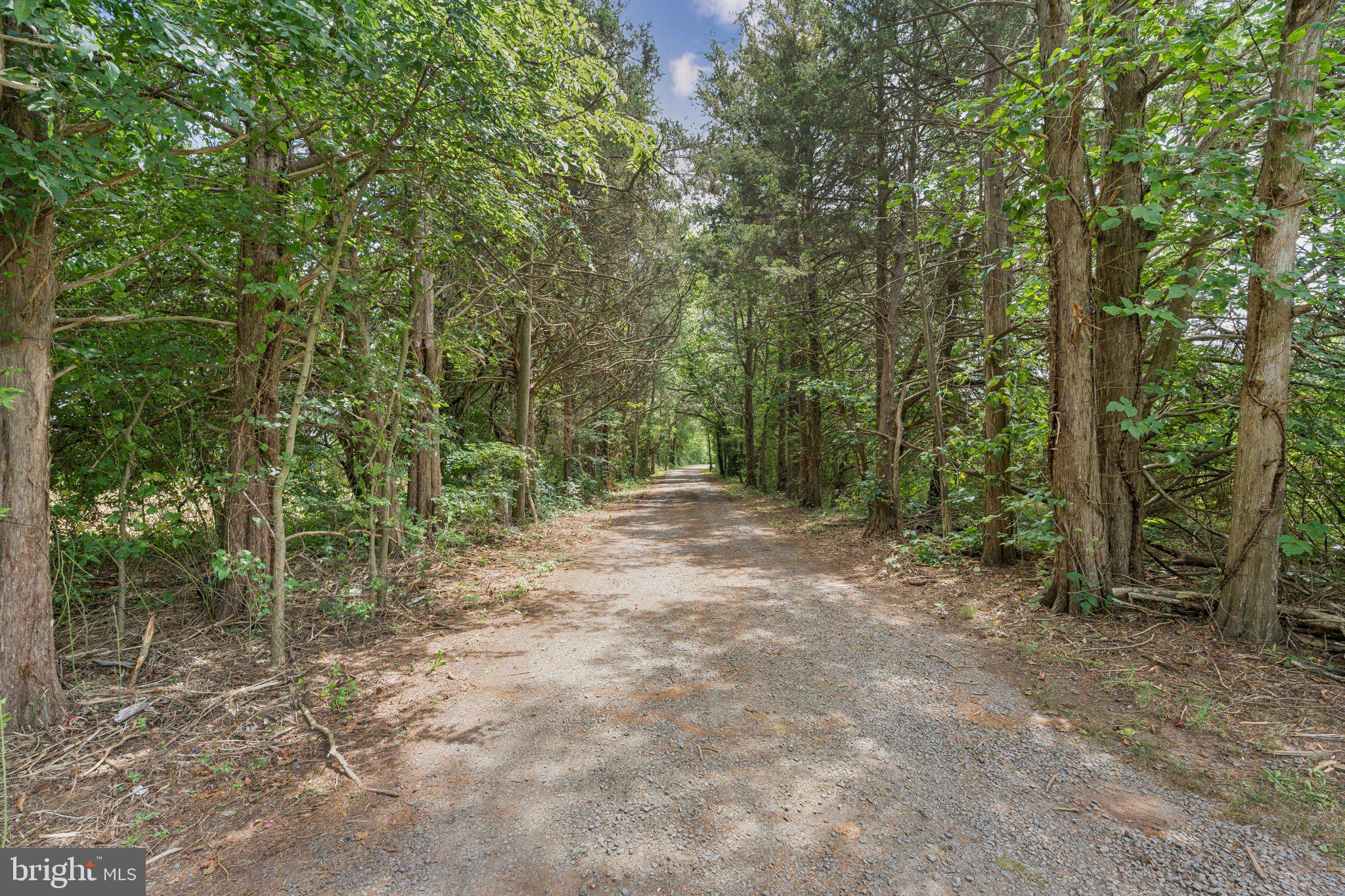 4509 Catlett Road Midland, VA 22728 - Photo 9 of 36 private tree lined driveway to your new home