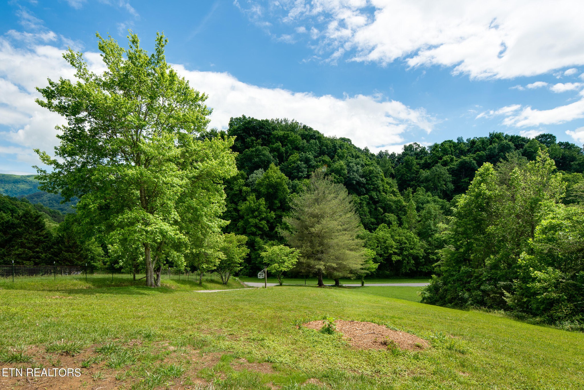 1622 South Delozier Road Seymour, TN 37865 - Photo 13 of 29 Gallery Image 13