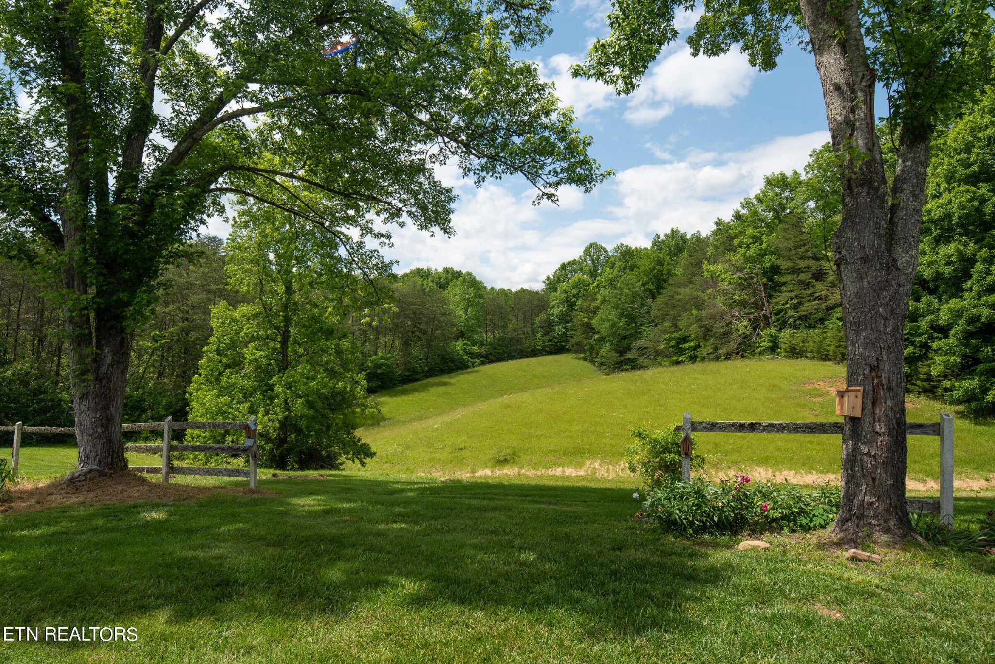 1622 South Delozier Road Seymour, TN 37865 - Photo 4 of 29 Gallery Image 4
