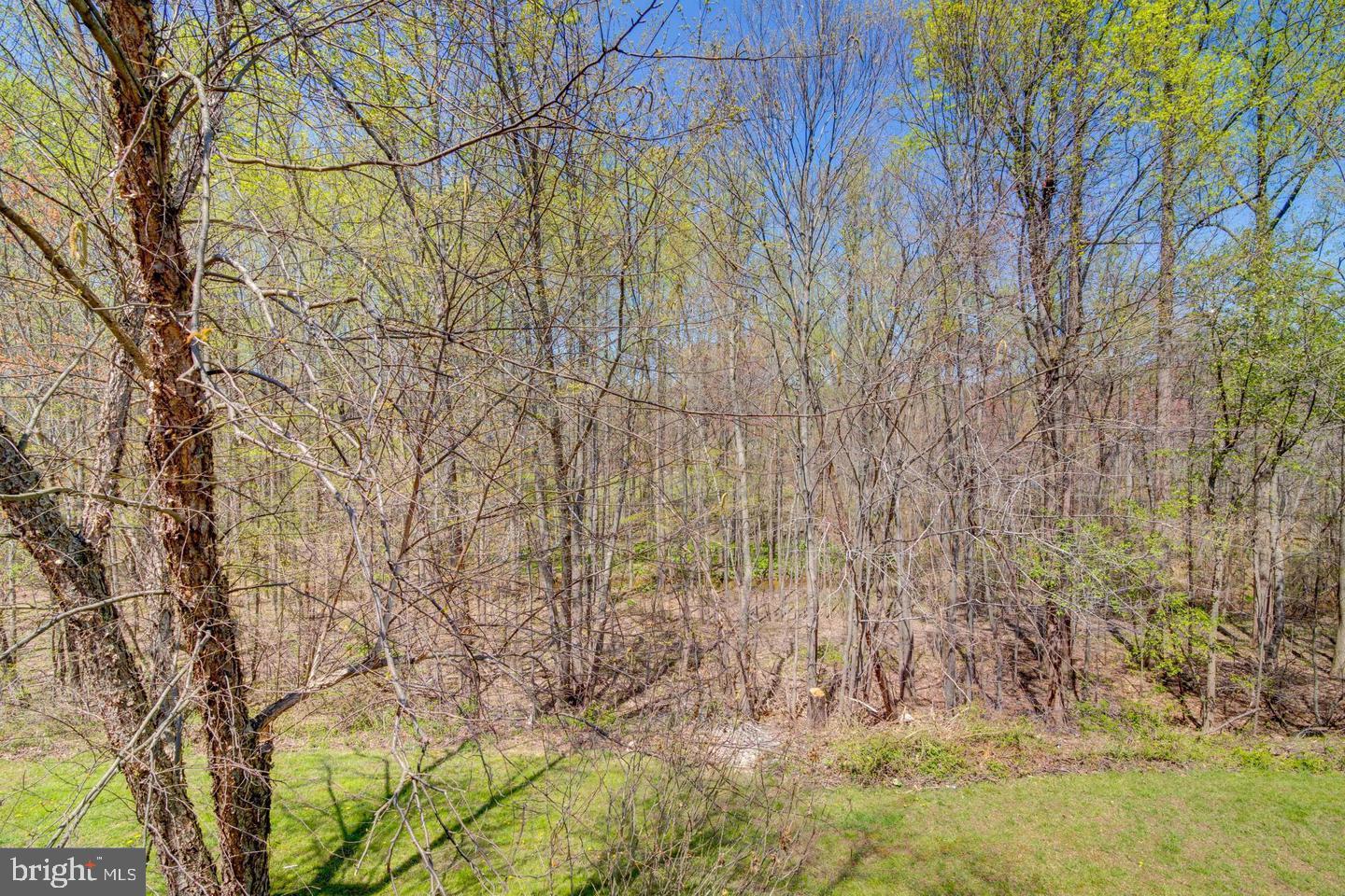 14510 Mayfair Drive Laurel, MD 20707 - Photo 30 of 30 Wooded View from Deck