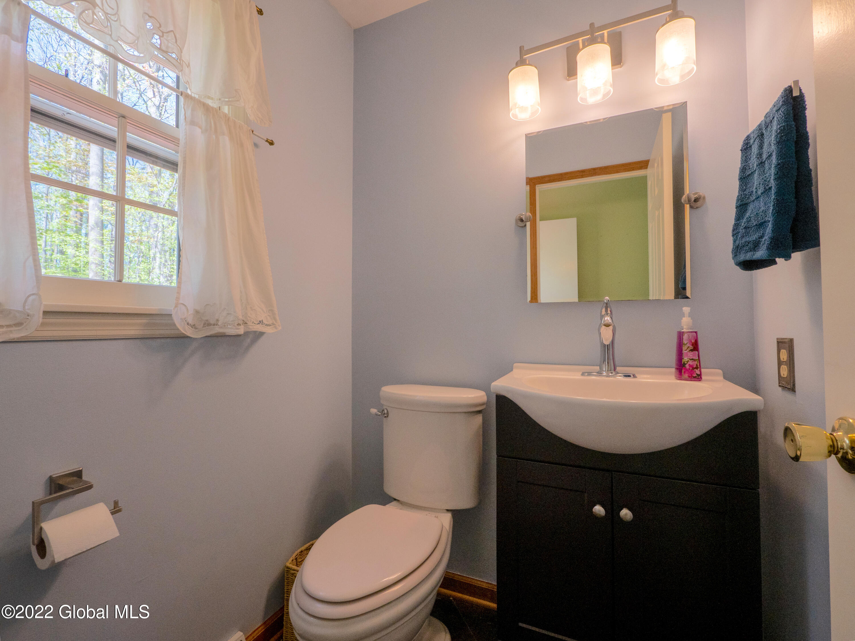 2266 Pine Ridge Road Niskayuna, NY 12309 - Photo 30 of 75 P1022642-HDR