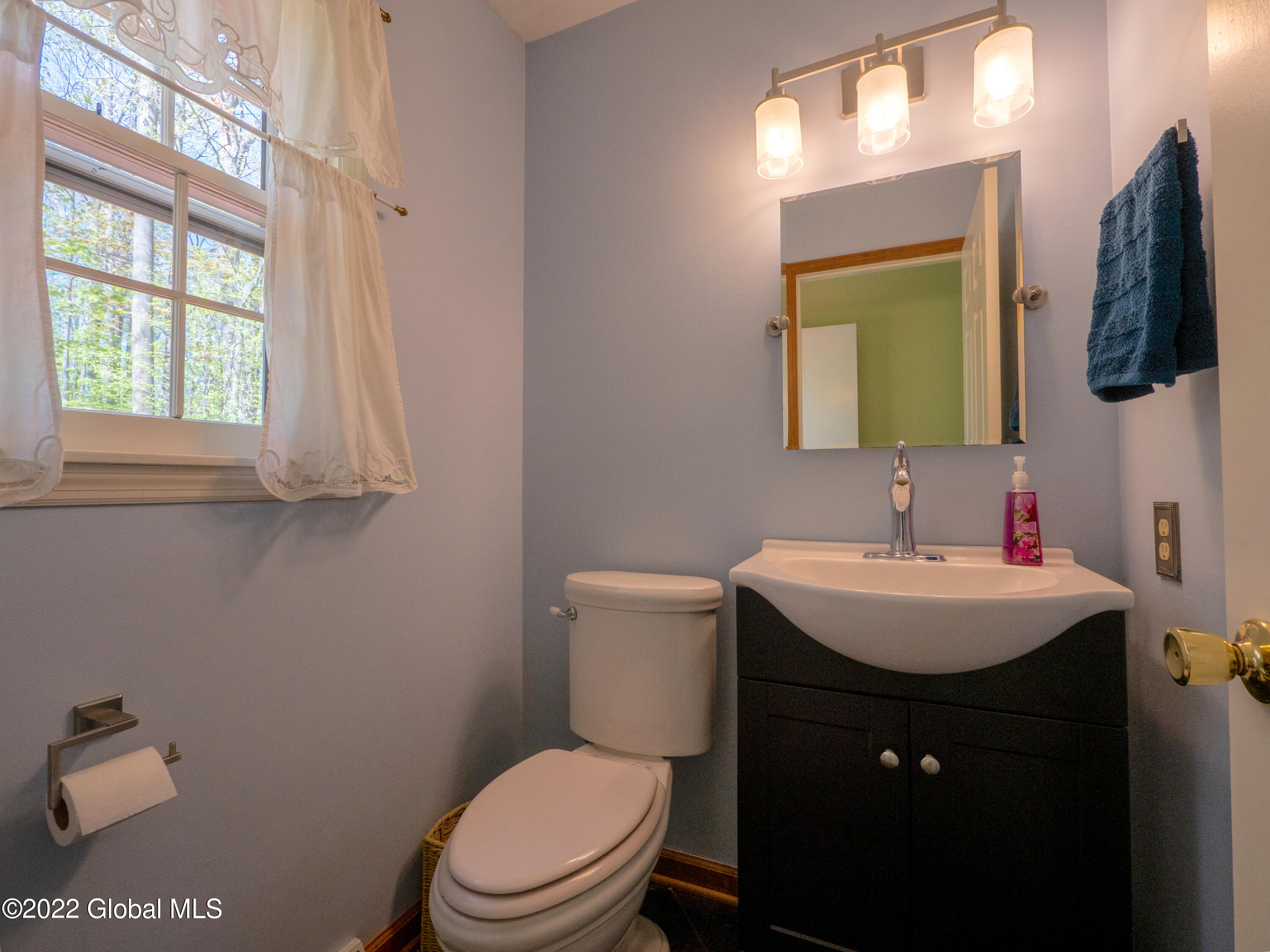 2266 Pine Ridge Road Niskayuna, NY 12309 - Photo 35 of 75 P1022642-HDR