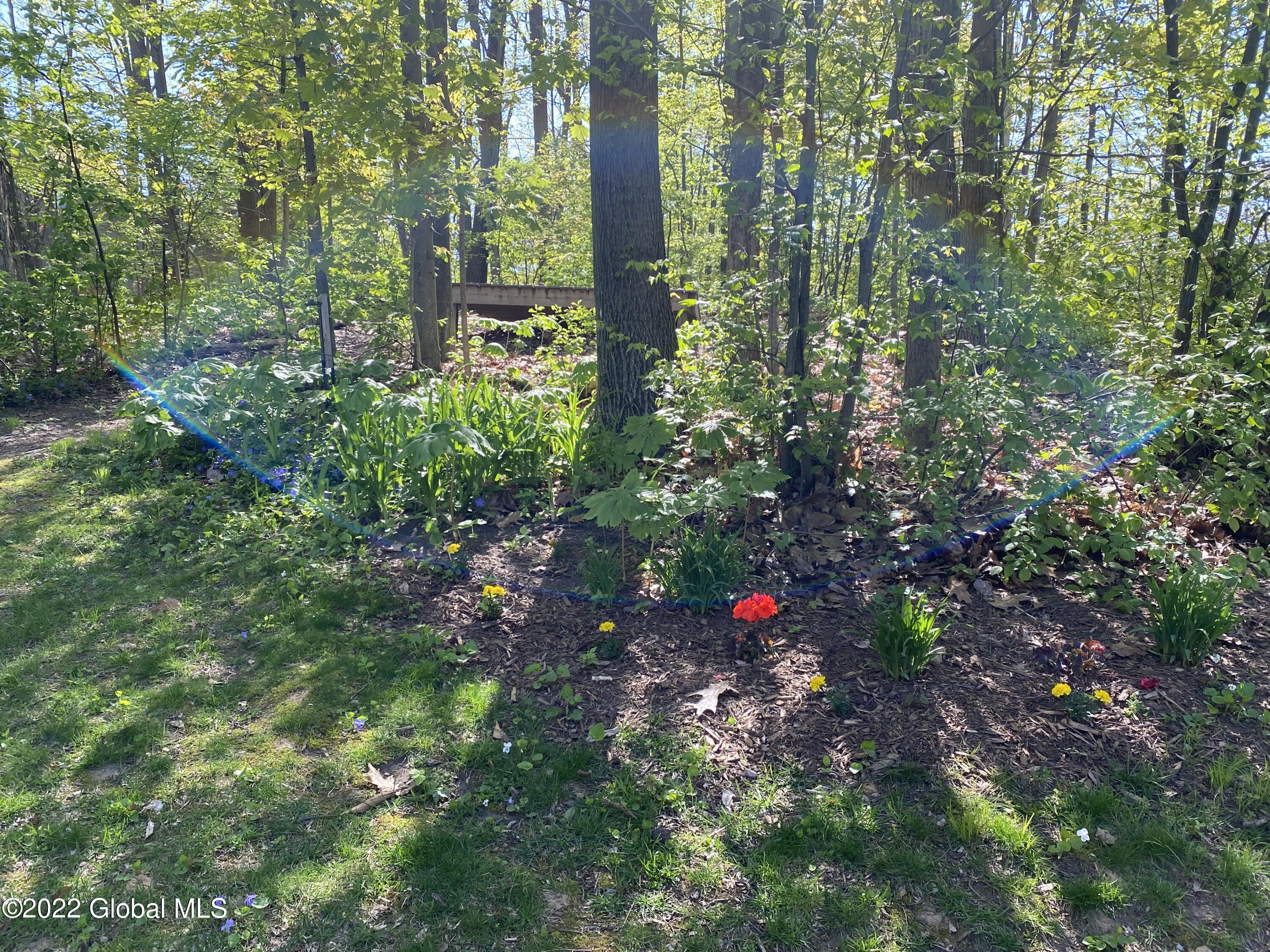 2266 Pine Ridge Road Niskayuna, NY 12309 - Photo 60 of 75 IMG_9560