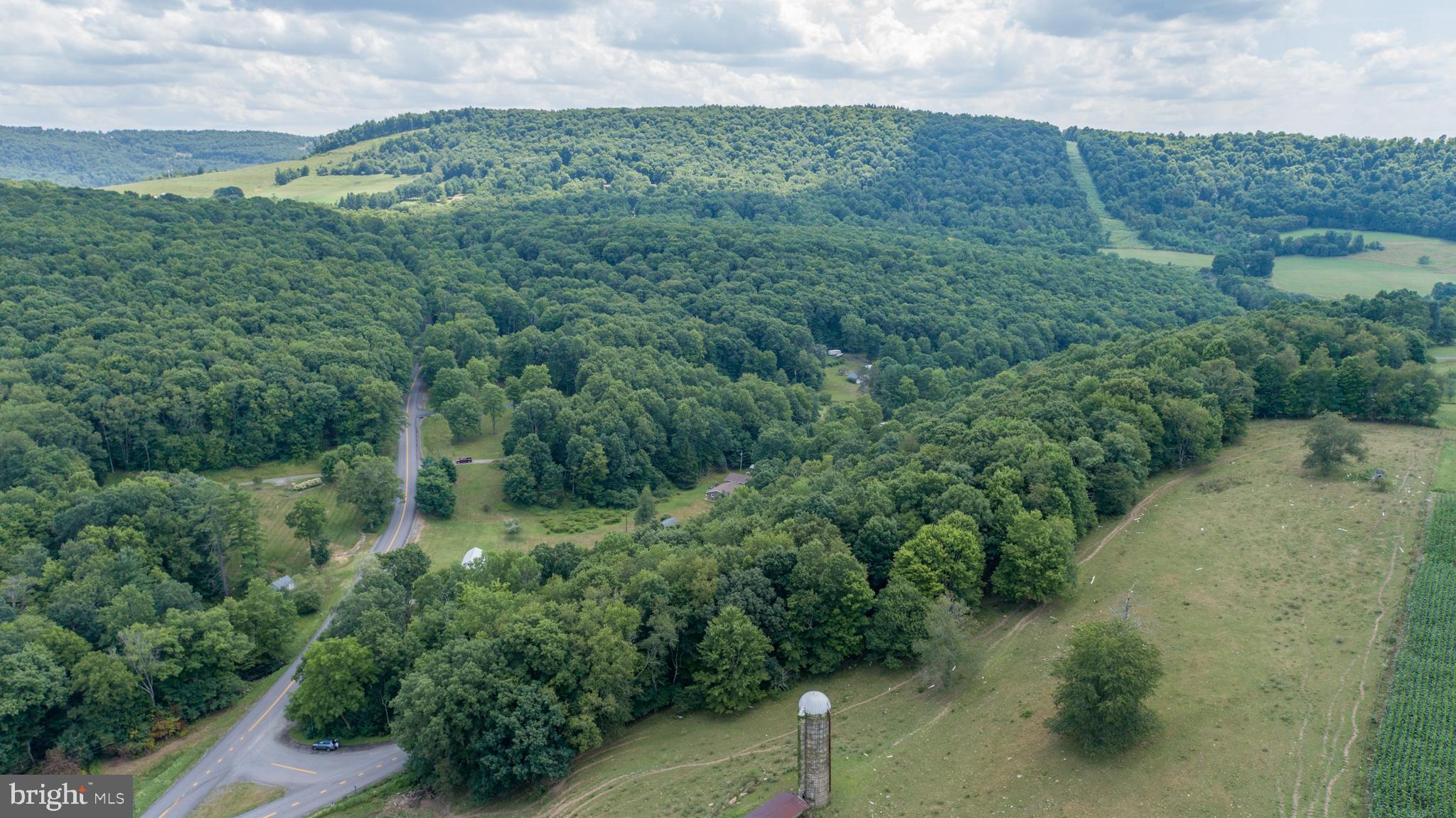 Sang Run Road Friendsville, MD 21531 - Photo 11 of 22