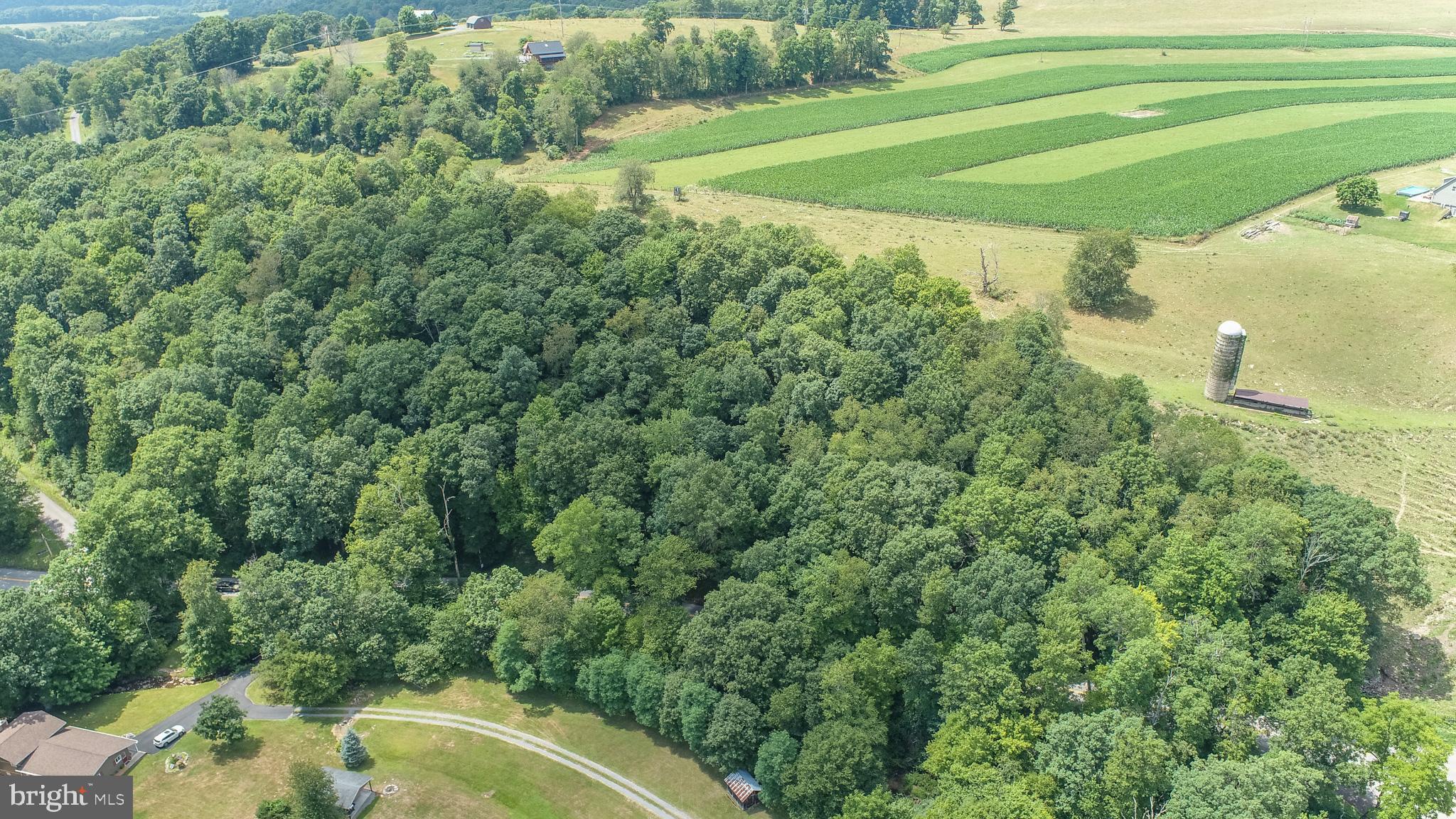 Sang Run Road Friendsville, MD 21531 - Photo 15 of 22