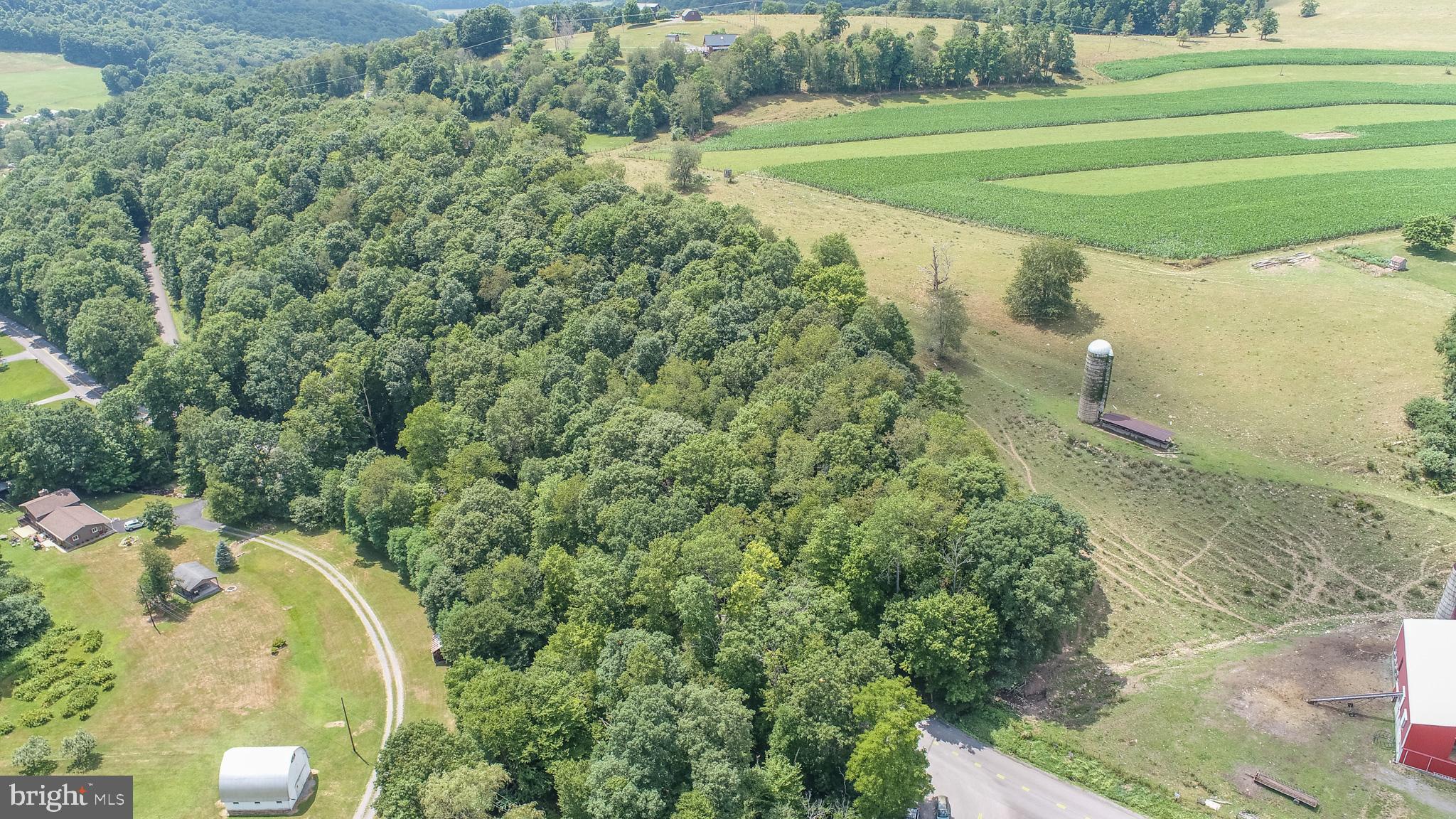 Sang Run Road Friendsville, MD 21531 - Photo 18 of 22