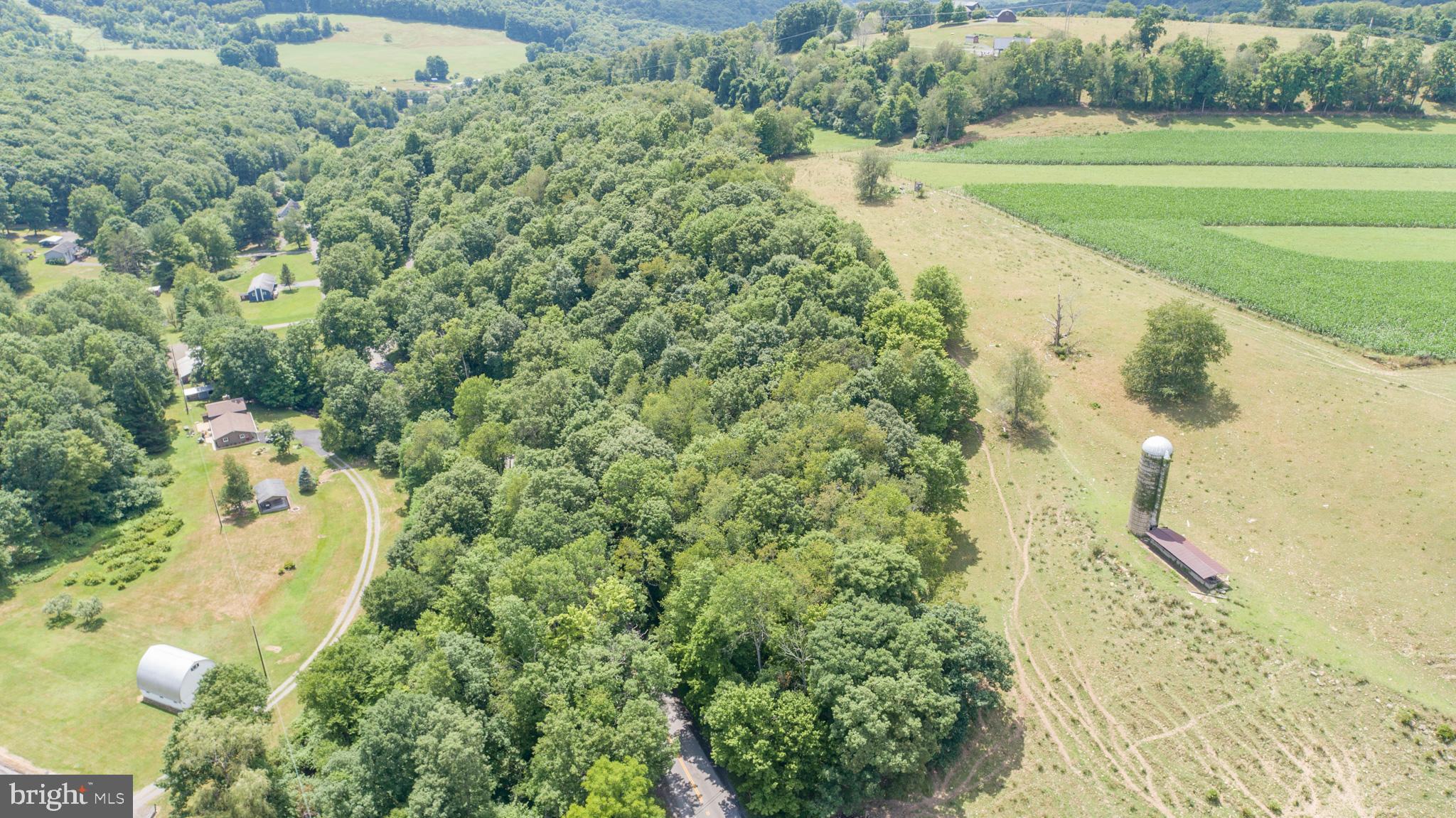 Sang Run Road Friendsville, MD 21531 - Photo 21 of 22