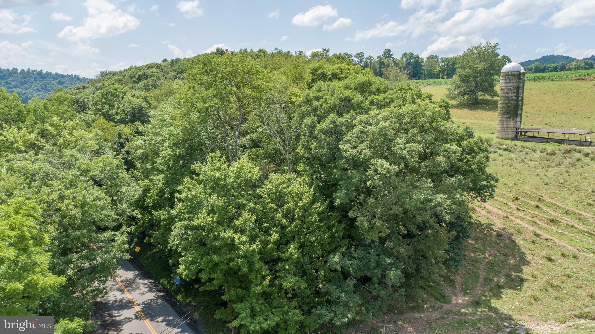 Sang Run Road Friendsville, MD 21531 - Photo 22 of 22