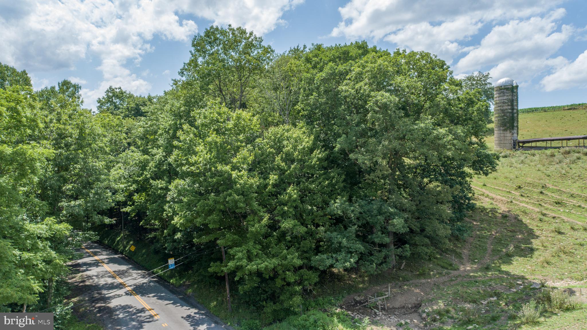 Sang Run Road Friendsville, MD 21531 - Photo 4 of 22