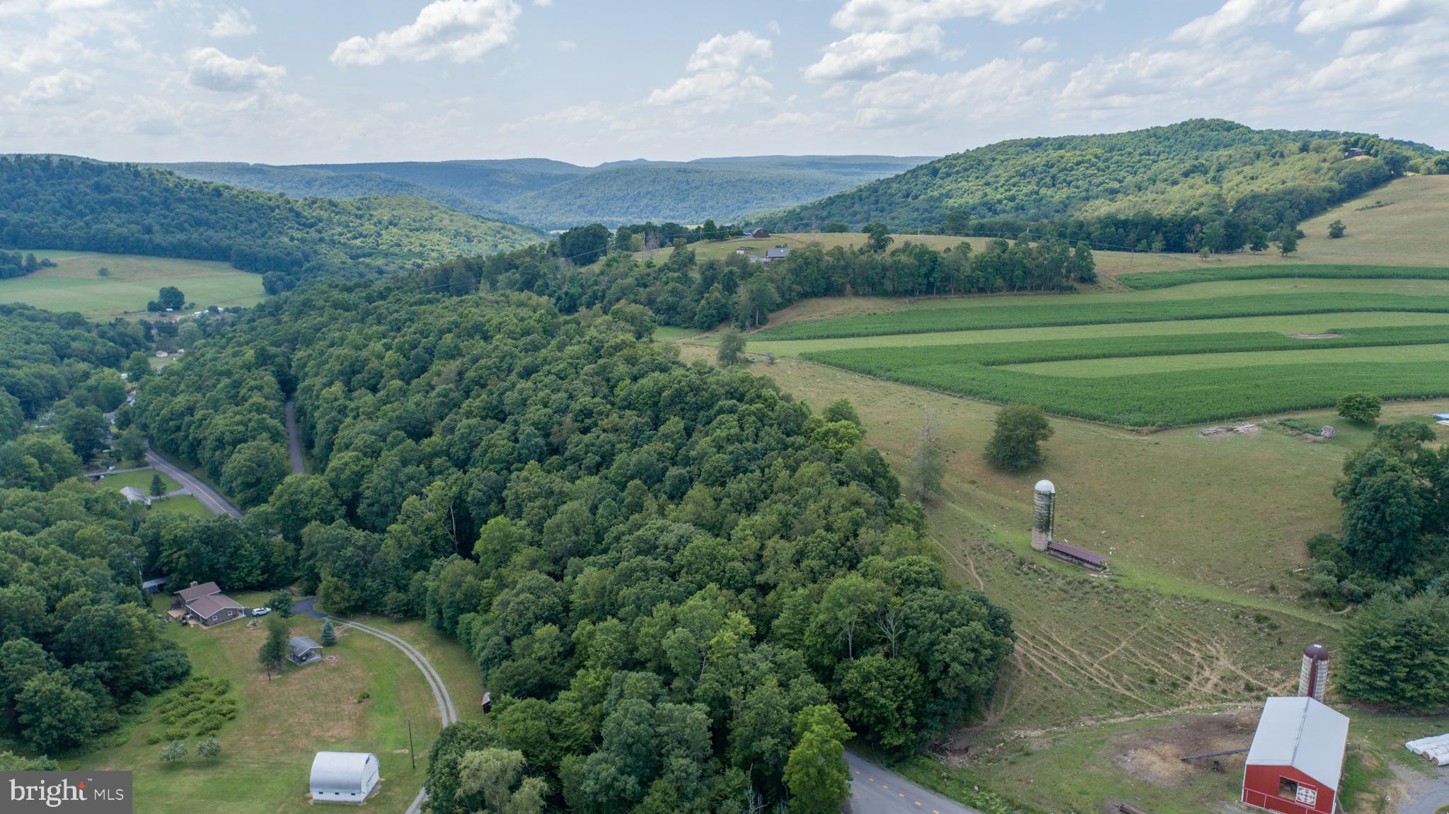 Sang Run Road Friendsville, MD 21531 - Photo 6 of 22