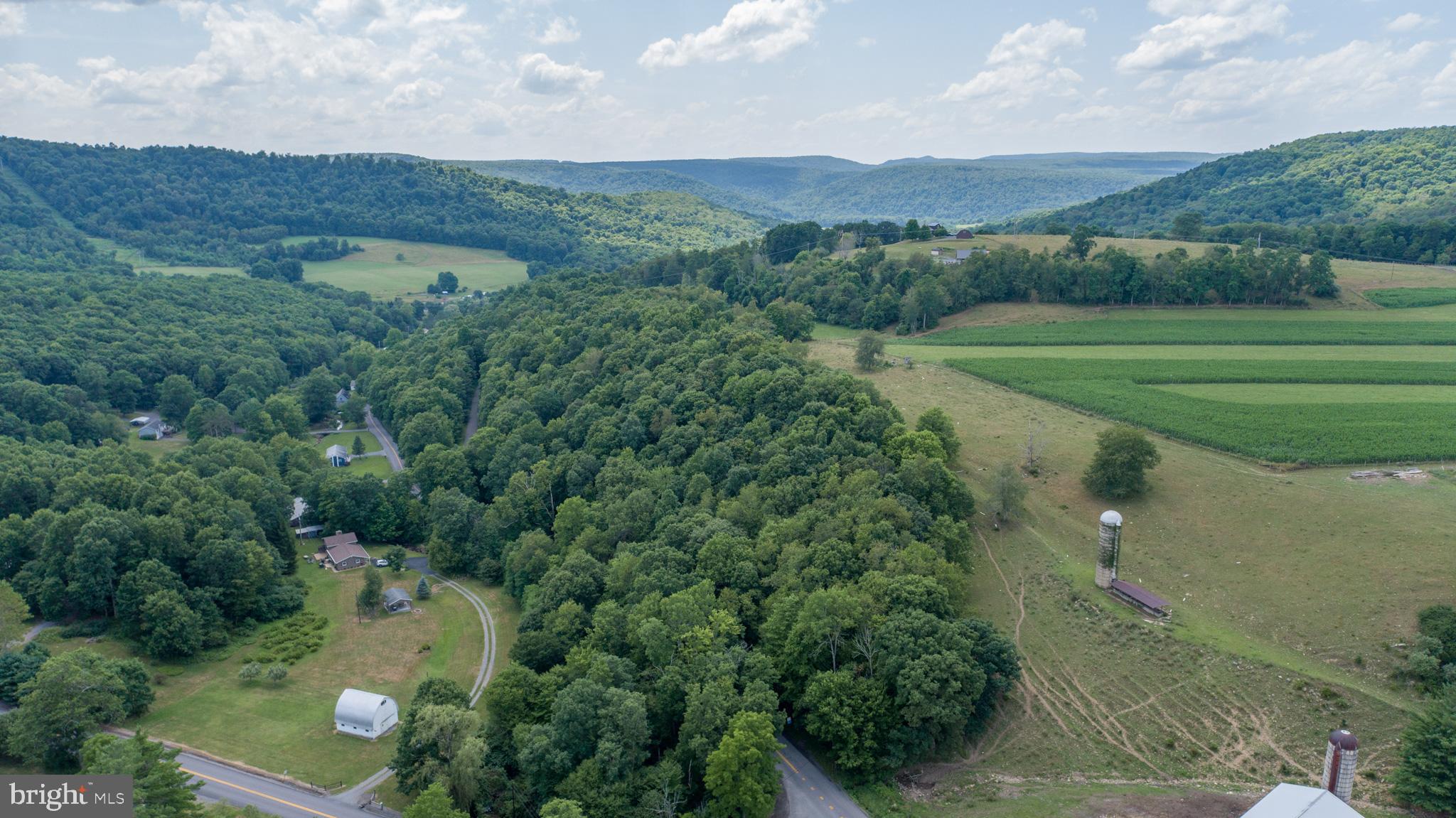 Sang Run Road Friendsville, MD 21531 - Photo 8 of 22