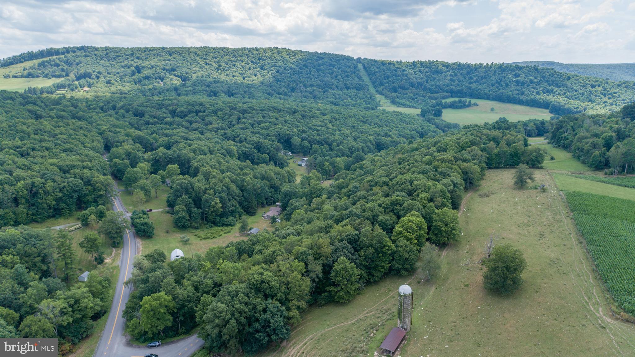 Sang Run Road Friendsville, MD 21531 - Photo 9 of 22