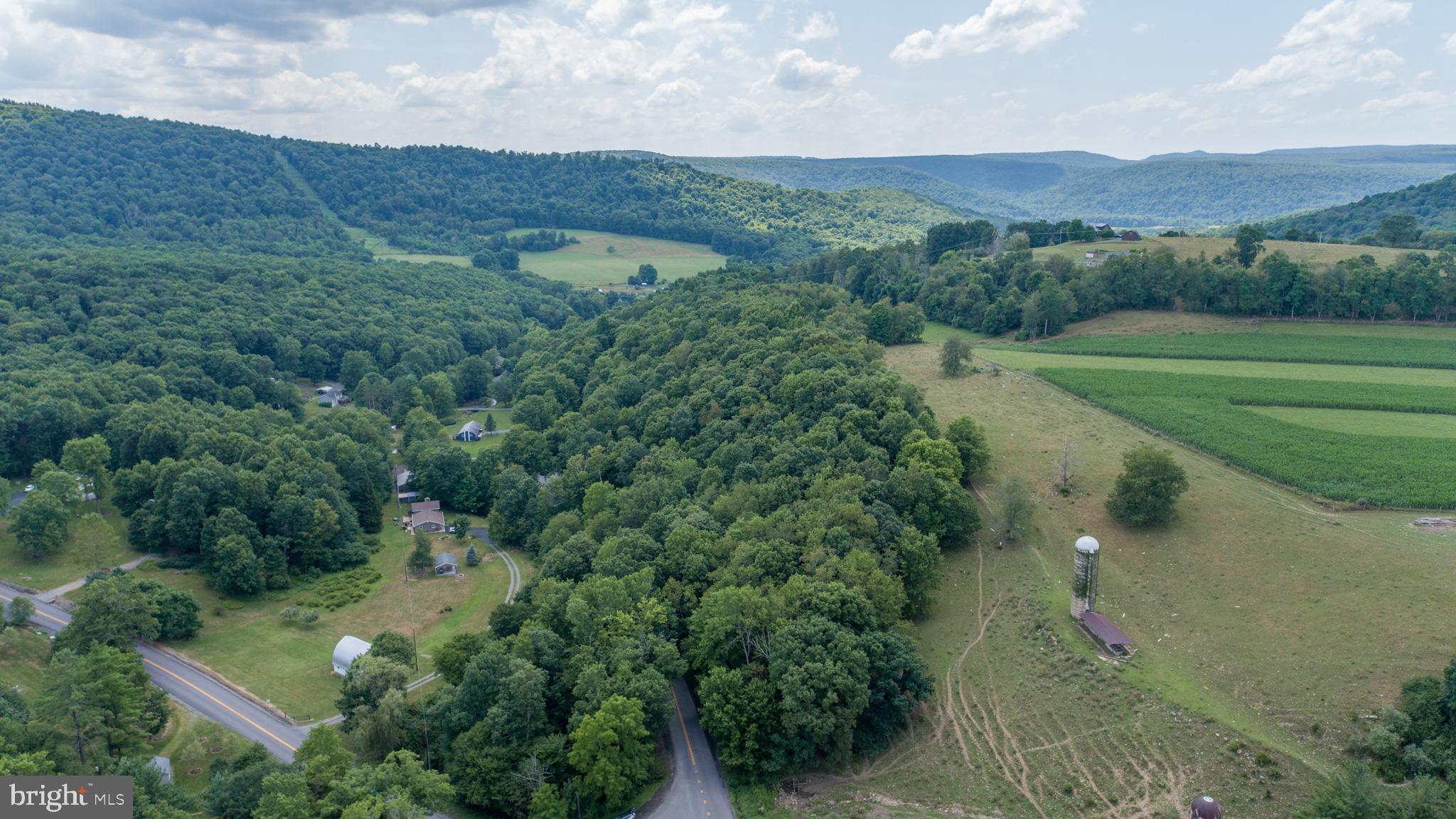 Sang Run Road Friendsville, MD 21531 - Photo 10 of 22