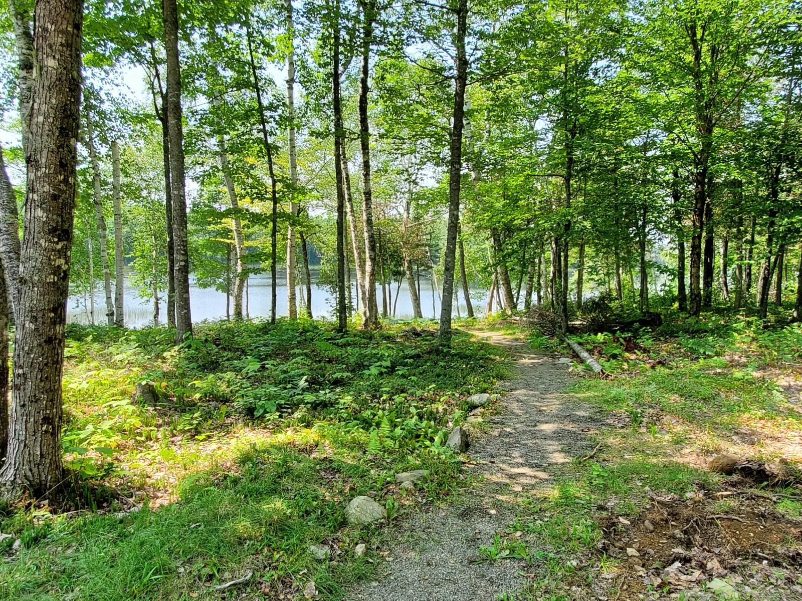 L15 Woodland Ridge Estates Road Danforth, ME 04424 - Photo 18 of 22 20210806_124654