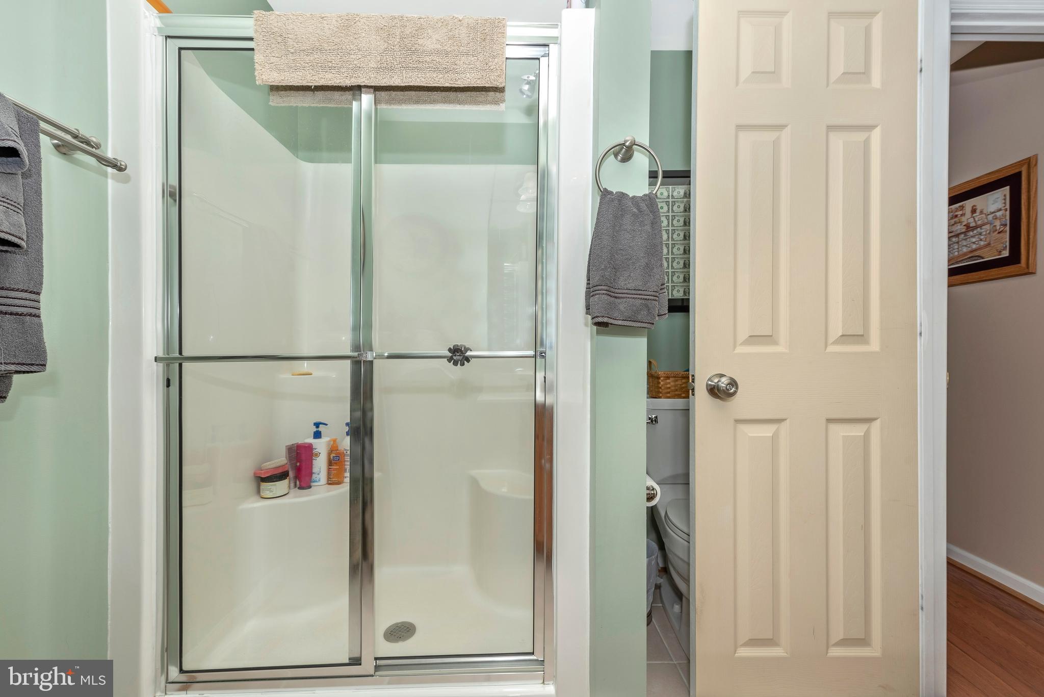 14010 Harrisville Road Mount Airy, MD 21771 - Photo 25 of 62 Master Bath