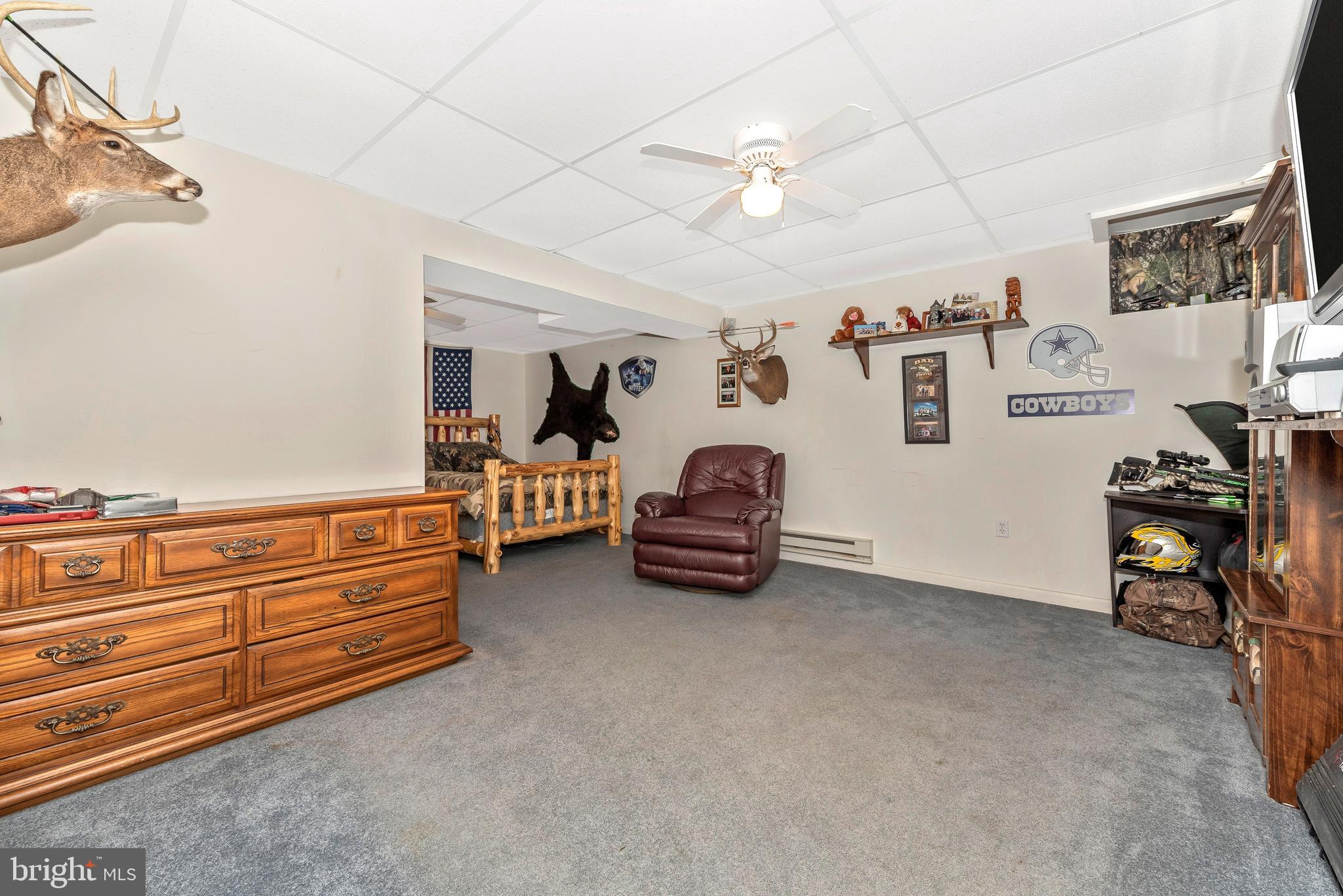 14010 Harrisville Road Mount Airy, MD 21771 - Photo 39 of 62 Lower level