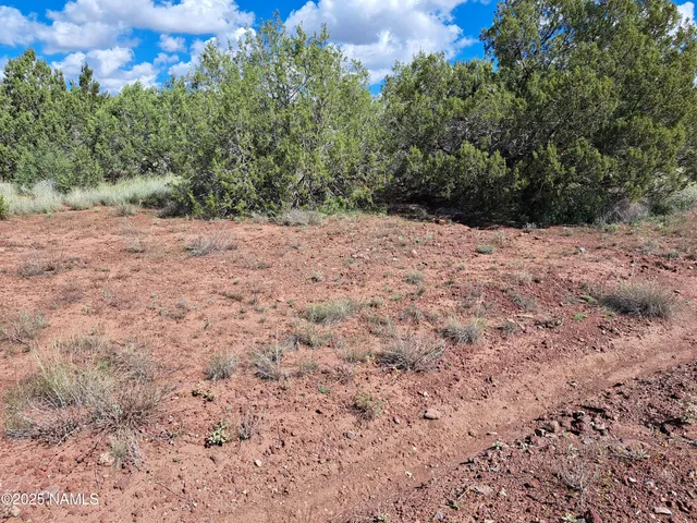 $28,000 | 2519 Roberts Road, Ash Fork, AZ 86320