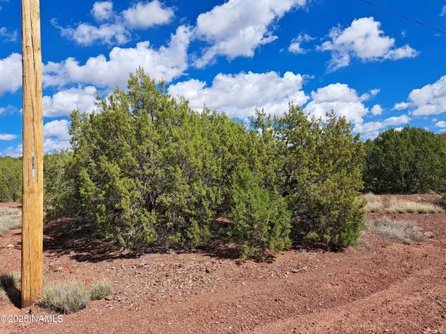 $28,000 | 2519 Roberts Road, Ash Fork, AZ 86320