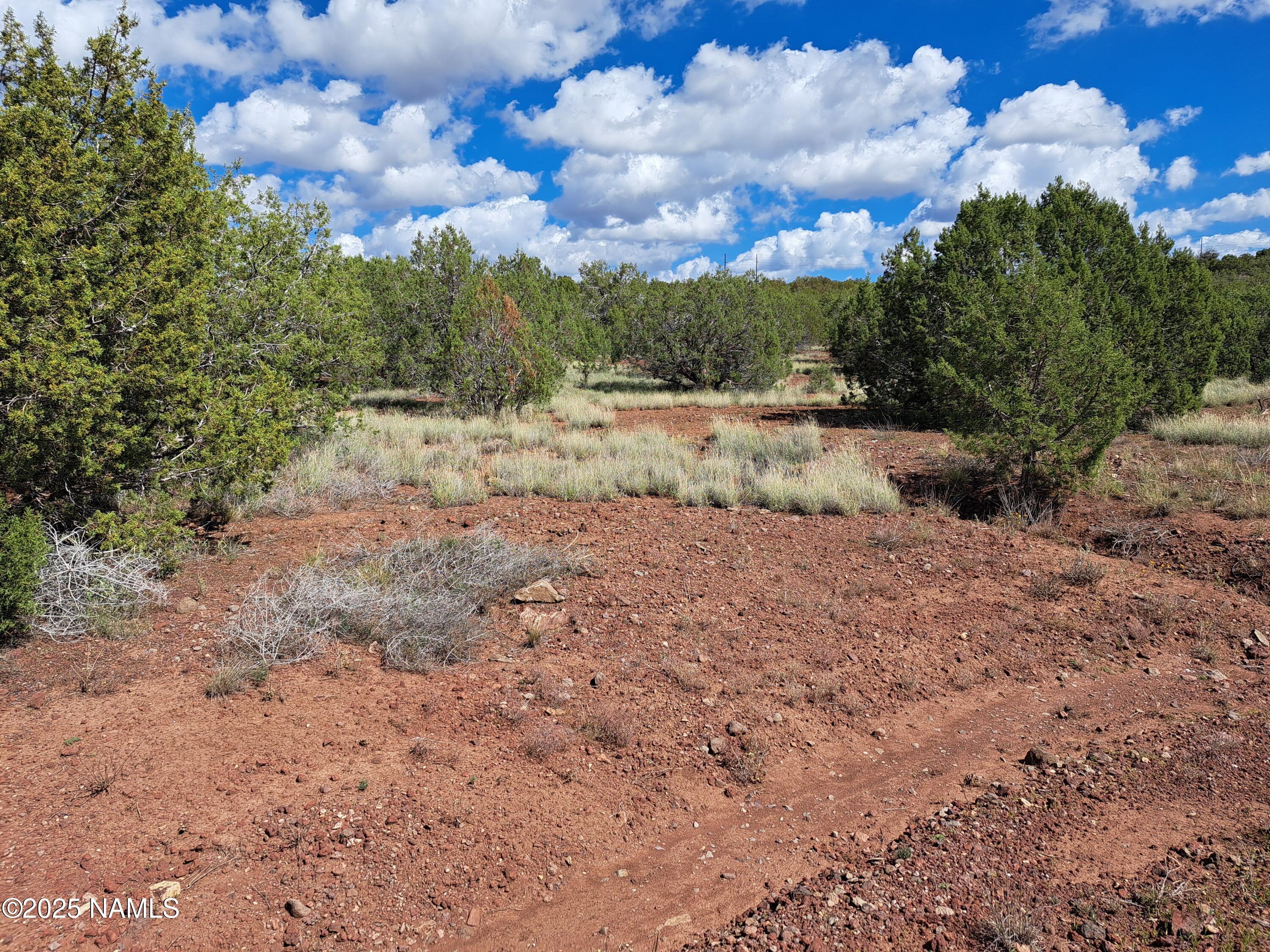 2519 Roberts Road Ash Fork, AZ 86320 - Photo 6 of 6 20250930_111952