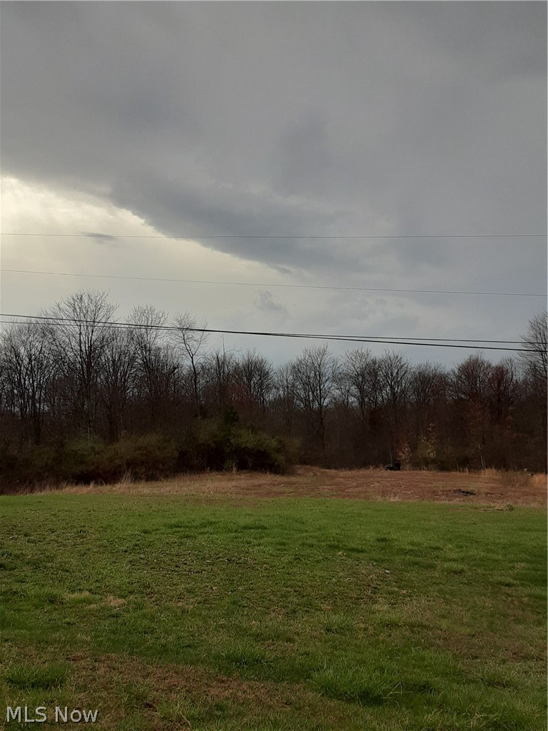 14233 Crooked Tree Road Lowell, OH 45744 - Photo 21 of 25 Land to the back