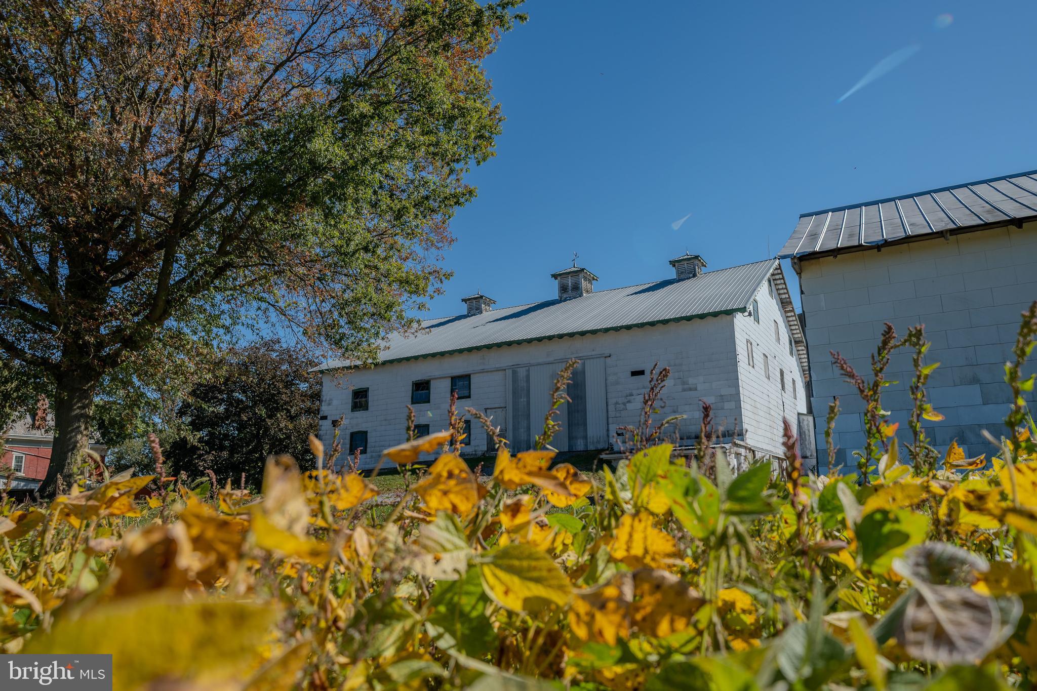 155 Shady Hill Road Milton, PA 17847 - Photo 2 of 70 a front view of house with yard