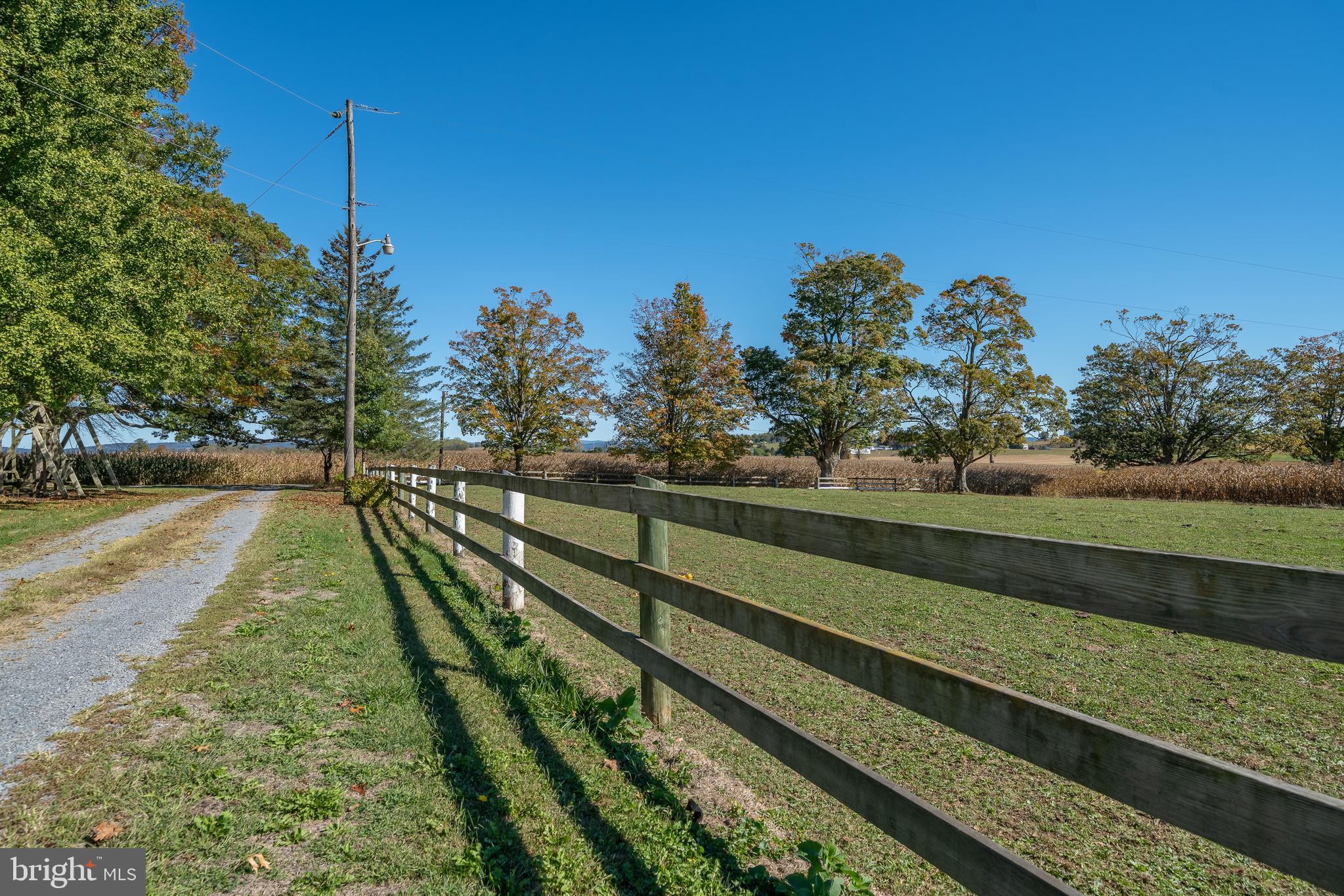 155 Shady Hill Road Milton, PA 17847 - Photo 23 of 70 a view of park with trees