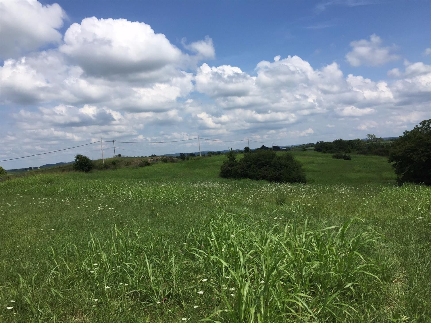2 Cedar Ridge Road Stanford, KY 40484 - Photo 11 of 18 Photo 11