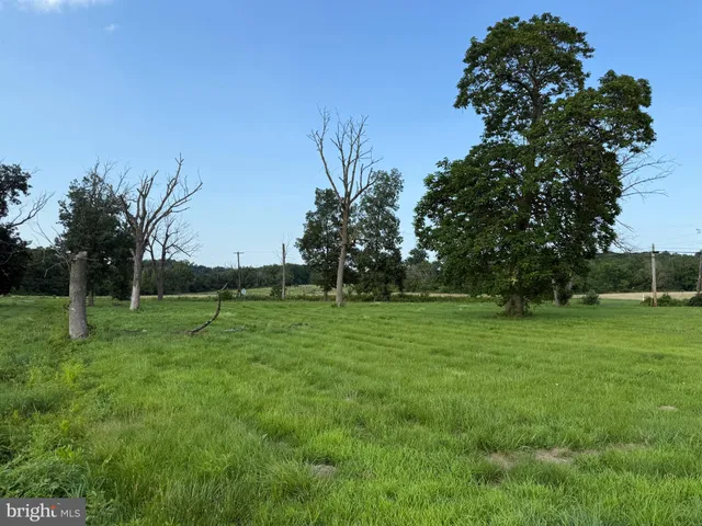 a view of field with trees in the background