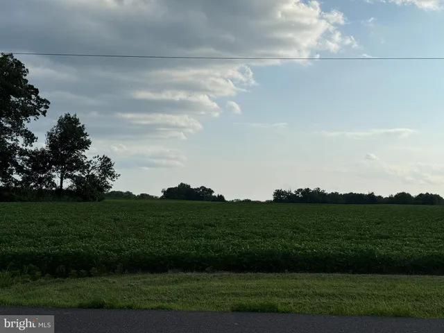 a view of a grassy field