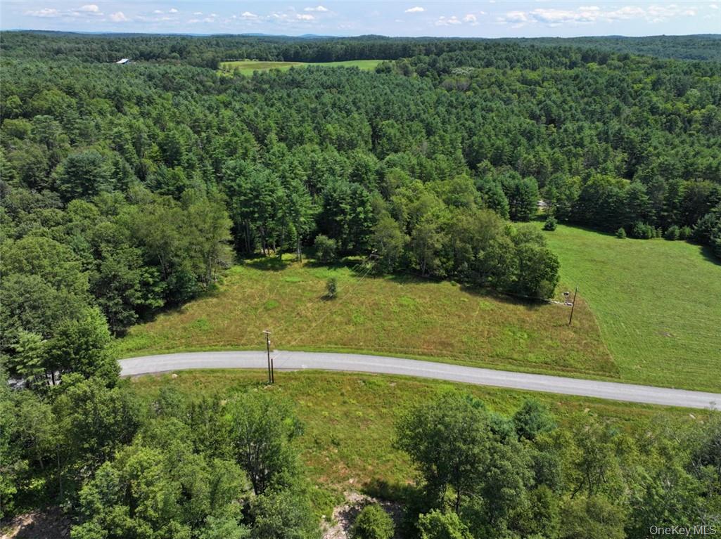 5 Pine Meadows Farm Old County Road Cochecton, NY 12726 - Photo 1 of 11 a view of a backyard