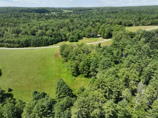 a view of a field with a tree