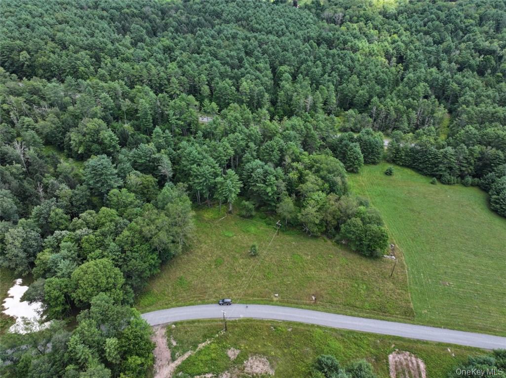 5 Pine Meadows Farm Old County Road Cochecton, NY 12726 - Photo 5 of 11 a view of a green yard