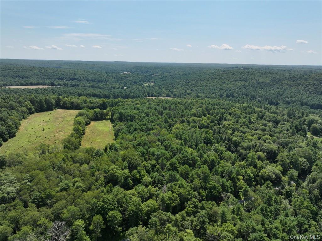 5 Pine Meadows Farm Old County Road Cochecton, NY 12726 - Photo 6 of 11 an aerial view of a house with a yard