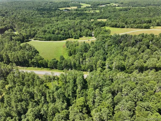 a view of a lush green forest with trees and houses