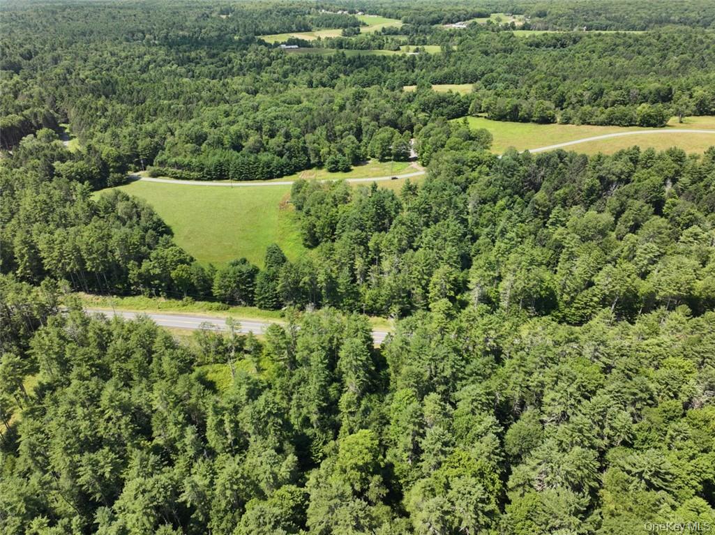 5 Pine Meadows Farm Old County Road Cochecton, NY 12726 - Photo 9 of 11 a view of a lush green forest with trees and houses