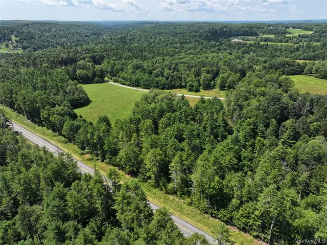 a view of a lush green forest with trees and some houses