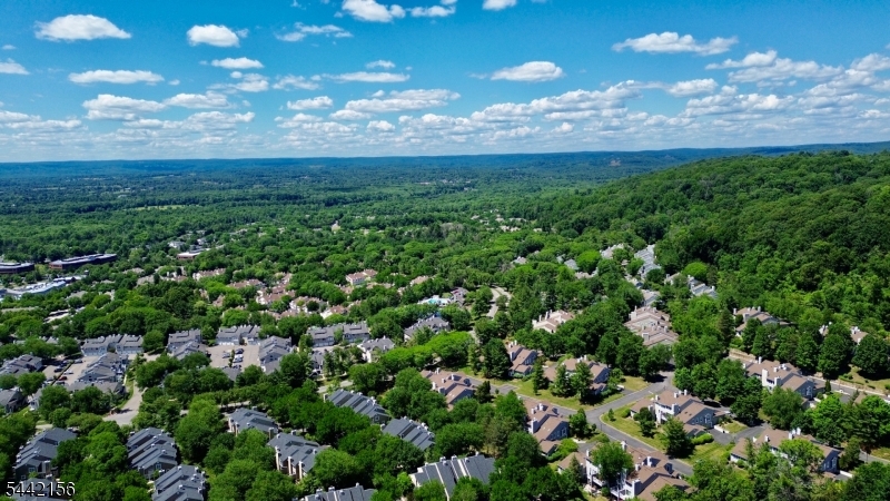 4 Cedar Court Bedminster, NJ 07921 - Photo 14 of 16 a view of a yard with a house