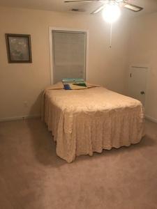 1695 Bee Balm Road Johns Island, SC 29455 - Photo 13 of 25 13