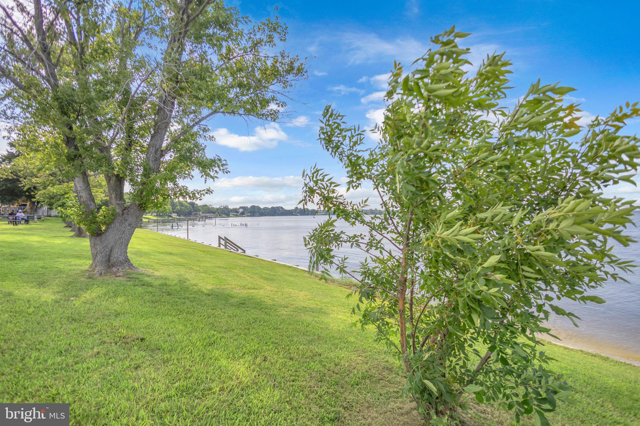 36031 Bay Drive Chaptico, MD 20621 - Photo 21 of 34 a view of a yard with a tree