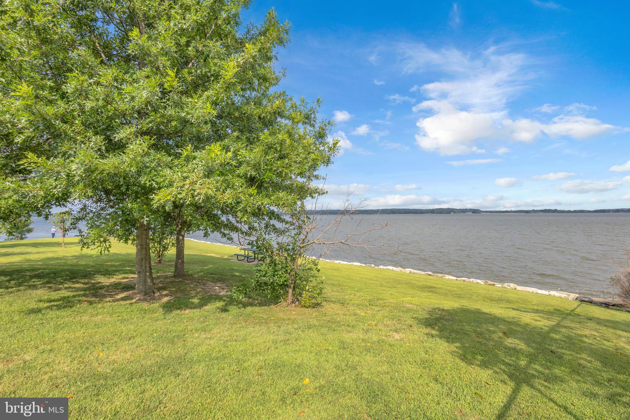 36031 Bay Drive Chaptico, MD 20621 - Photo 25 of 34 a view of an ocean from a yard